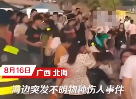 科普博主谈北海咬伤游客事件 实在太恐怖了
