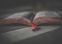 四川文理学院专升本的分数(四川文理学院口腔医学专升本分数线)