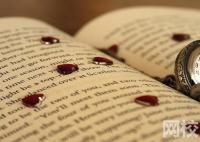 2024年天津轻工职业技术学院录取分数线(2024年大学分数线排名位次公布)