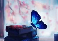 2024年河北民族师范学院录取分数线(2024年大学分数线排名位次公布)