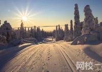 2024年河北公安警察职业学院录取分数线(2024年大学分数线排名位次公布)