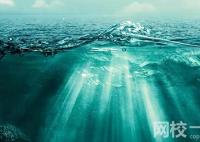 2024年石家庄科技信息职业学院录取分数线(2024年大学分数线排名位次公布)