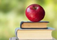 2024年山东英才学院录取分数线(高考排名位次分数线一览表)