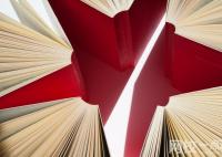 2024年廊坊卫生职业学院录取分数线(高考排名位次分数线一览表)