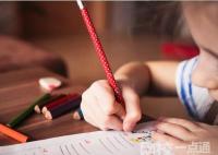 2024年东北财经大学录取分数线(各专业最低分数线排名位次)