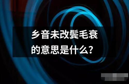 乡音未改鬓毛衰的意思是什么读音读法