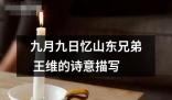 九月九日忆山东兄弟王维的诗意描写的解释