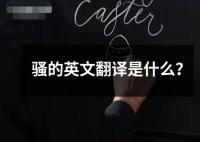 骚的英文翻译是什么