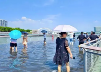 厦门沿海出现天文大潮 究竟是什么样的？