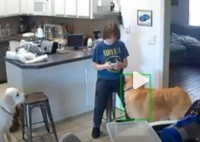 美国14岁少女弑母后设圈套枪击继父 内幕曝光简直太意外了