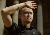 前华人首富赵长鹏要出狱了 内幕实在让人惊个呆