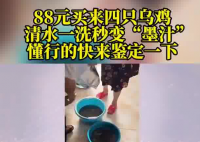 88元网购的4只乌鸡洗出一盆黑水 客服回应：正常情况