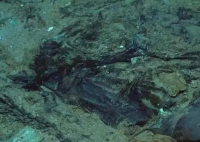 移民船上30具遗体腐烂难以辨认 背后真相实在让人惊愕