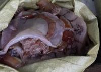 大量海蜇入侵浙江一电厂 究竟是什么样的？