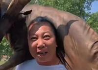 起底东北雨姐的“彪悍”人生 到底是什么情况？