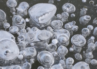 黑龙江“冰泡奇观”上线 画面曝光简直太罕见了