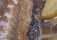 男子点外卖吃出多只蟑螂 饭店被查 画面曝光实在太恶心了