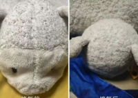 上海知名玩偶医生被曝挂号费180元 这也太无法理解了