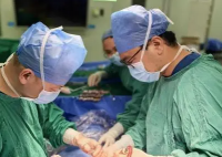 农民工遭树枝横向贯穿胸腔后强行拔出 惊险至极真相简直太吓人了