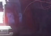 黑龙江伤人老虎已被制服?不实 还没有抓捕到