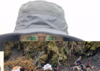 马夫儿子回应父亲猥亵女驴友 争议真相简直让人惊个呆