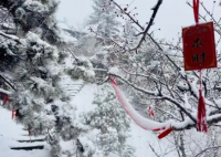 泰山积雪深度近20厘米达暴雪量级 这也太罕见了