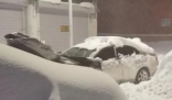 暴雪过后鹤岗车主挖宝寻车 这雪也太大了