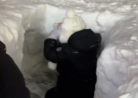 大雪后东北小孩挖出三室一厅 画面曝光简直太惊艳了