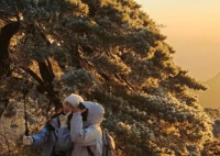 黄山出现震撼金色雪景 这也太美了吧