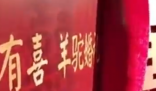 幼儿园为羊驼办婚礼 份子钱30元起步 为什么引争议什么原因？