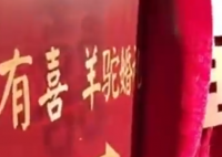 幼儿园为羊驼办婚礼 份子钱30元起步 为什么引争议什么原因？