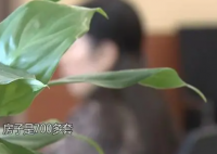 上海女老板18年内被员工骗上百万元 意外真相简直太崩溃了