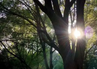 艾滋夫妇确诊感染后的第20年 悲剧原因实在太崩溃了