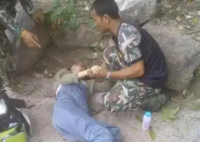 泰国孕妇坠崖案王暖暖回应没离婚 原因竟是这样太无奈了