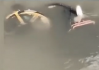 共享单车被丢河里每月可捞数百辆 原因竟是这样太无奈了