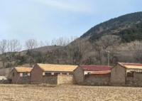 收留女硕士男子堂哥称曾登寻人启事 究竟是怎么回事？