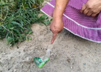 女子为捡塑料瓶卖钱 放火烧山 这真是太吓人了