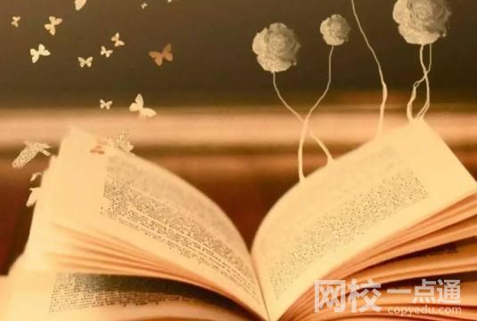 成都大学录取分数线2025年(高考各专业分数线排名位次汇总)