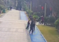 四川一女子遛狗时被边牧跳起扑咬 究竟是怎么回事？