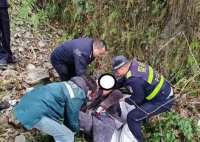 一家3口遇堵车 丈夫下车后离奇失踪 事件始末2025最新消息