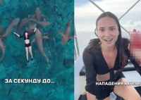 女歌手与鲨鱼共游被咬伤 真相简直太恐怖了