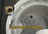 上班7天喝的都是蚂蚁泡澡水 内幕曝光简直太意外了