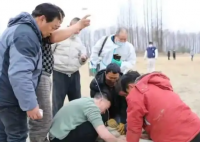 跳江救人的“白龙”马不幸死亡 原因竟是这样太悲剧