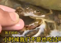 男童生吃蟹腿寄生虫钻进心脏 内幕曝光简直太意外了