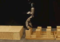 人形伴侣机器人赛道彻底沸腾 究竟是怎么回事？