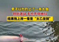 男子以为钓到一条大鱼结果是猪 究竟是怎么回事？