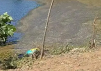 女孩遭侵犯溺亡 检方建议判被告死刑 究竟是怎么回事？