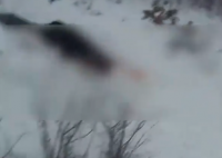 女子在其父亲墓前割腕轻生 民警救人 内幕曝光简直太意外了