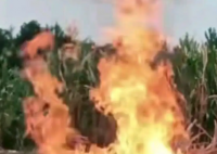 老人离世4名后人治丧后意外身亡 原因竟是这样太悲剧了