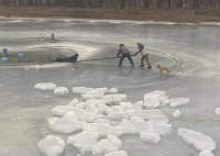 一村民冰窟脱险多亏他们用木棍相救 究竟是怎么回事？